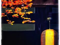 -成都杜甫草堂博物馆