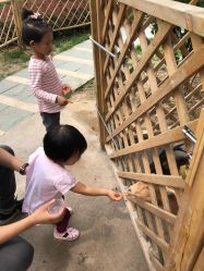 -萌宠亲子动物乐园(槐房万达店)