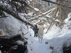 -峡谷浮石林景区