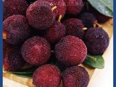 -温州一家人美食(西木头市店)