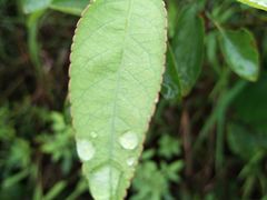 -白鹭湾湿地公园