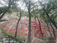 -沂蒙山旅游区龟蒙景区