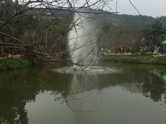 -丹樱生态园