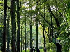 -广州珠江公园