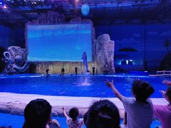 -华夏文旅海洋公园