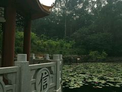 -三水森林公园