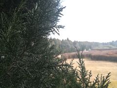 -秦始皇帝陵博物院-丽山园