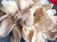 平菇-谭鸭血老火锅(漳州路店)