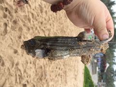 垦丁白沙湾海滩-白沙湾海滩