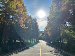 -南京市无想山景区