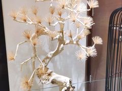 -悦融·京鲁菜·露台花园(安定门店)
