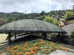 -海南槟榔谷黎苗文化旅游区