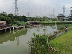 -王借岗森林公园