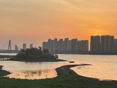-洋湖国家湿地公园