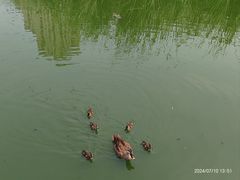 -前关湿地公园