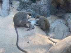 -泉州海丝野生动物世界