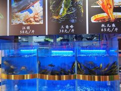 水产区-蛙一刀·麻椒鱼火锅(金仙桥店)