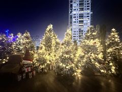 -城市露台景观餐厅(淮海路店)