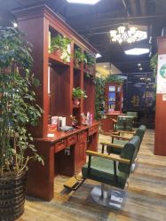 -东晨宝格丽品质造型