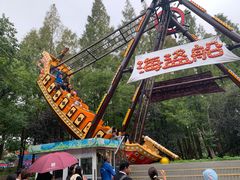 -上海滨江森林公园