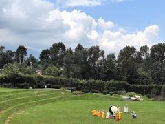 -云禾壹海景庄园餐厅