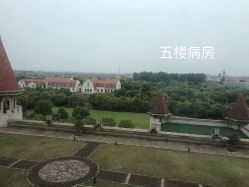 -上海美兰湖妇产科医院
