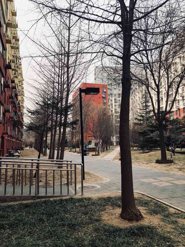 北京印象-"从小在海淀区公主坟这一片,北京印象小区是.