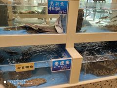 水产区-双井轩(双井店)