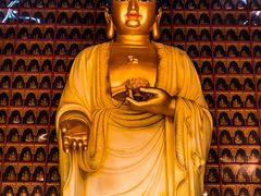 -大佛禅院