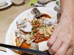 -张记旺角食街(动物园店)