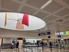 -米兰马尔彭萨国际机场