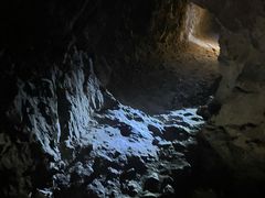 -上海佘山国家森林公园天马山园