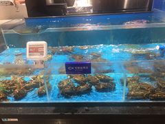 水产区-盒马鲜生(和谐广场店)