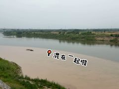 -茯茶镇