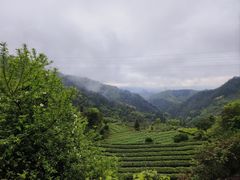 -杨家堂村