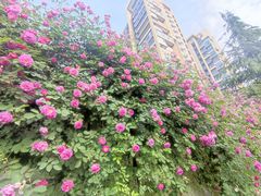 -木塔寺遗址生态公园