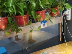 -螺大蛳柳州螺蛳粉·火锅·热干面(西城永捷店)