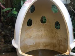 -100蛋泥浆浴