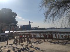 -阳澄湖半岛旅游度假区