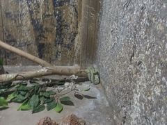 -沈阳森林动物园