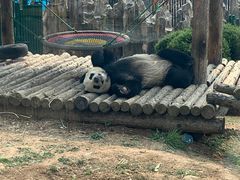 -大连森林动物园