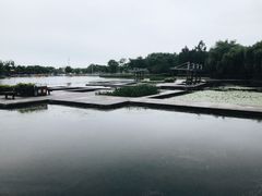 -苏州东太湖生态园