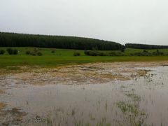 -塞罕坝国家级自然保护区