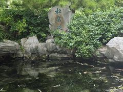 -泉城广场