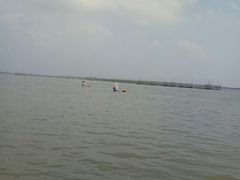 -北海金海湾红树林生态旅游区