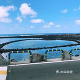 在济州岛是出了名的有海鲜和黑猪肉