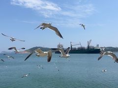 -海驴岛(荣成市)