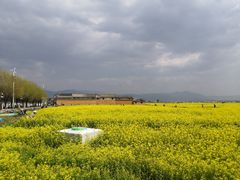 -喜林苑·稻田餐厅(品相府店)