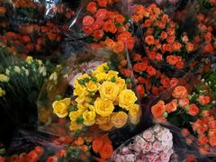 -循礼门鲜花花市(武汉循礼门店)