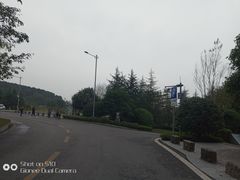 -铁山坪森林公园